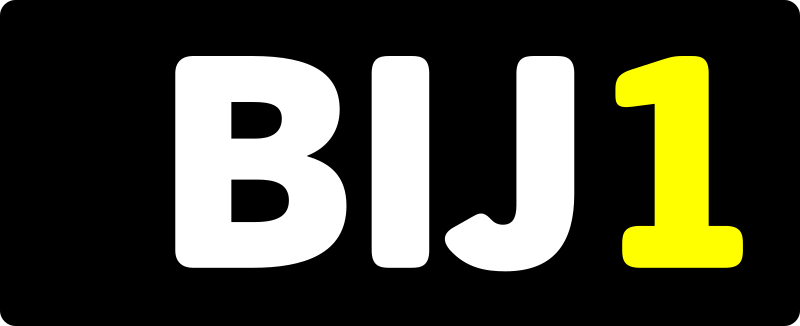 BIJ1 logo